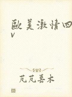 欧美激情四射av