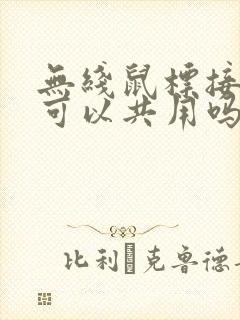 无线鼠标接收器可以共用吗