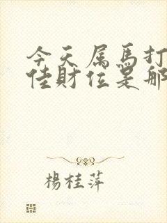 今天属马打牌最佳财位是那方