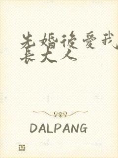 先婚后爱我的市长大人封面