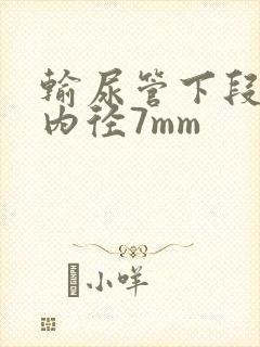 输尿管下段结石内径7mm