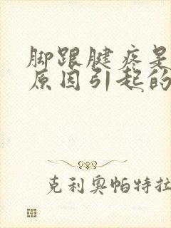 脚跟腱疼是什么原因引起的