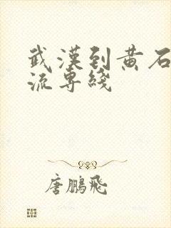 武汉到黄石的物流专线封面