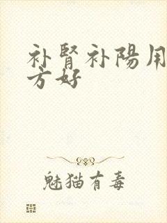 补肾补阳用什么方好