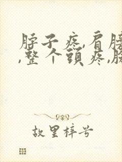 脖子疼,肩膀疼,整个头疼,脸都疼