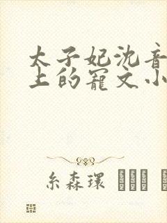 太子妃沈音和皇上的宠文小说