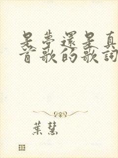 是梦还是真是哪首歌的歌词