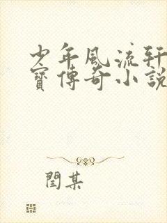 少年风流轩辕大宝传奇小说