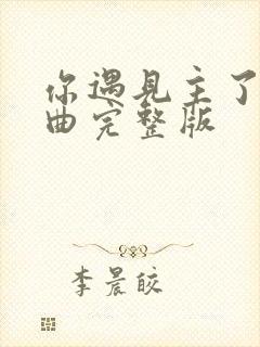 你遇见主了吗歌曲完整版