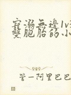 宠溺无边1v3双胞胎的小说