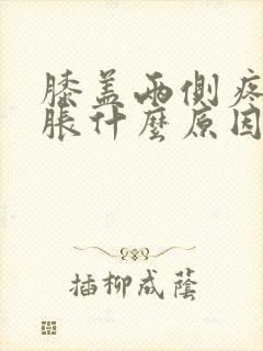 膝盖两侧疼痛肿胀什么原因