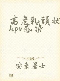 高危乳头状病毒hpv感染