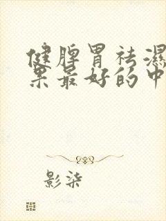 健脾胃祛湿气效果最好的中成药