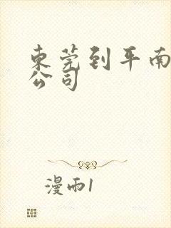 东莞到平南物流公司