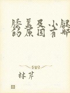 膝盖及小腿疼痛的原因有哪些