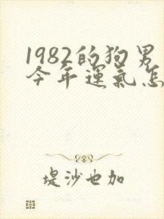 1982的狗男今年运气怎样