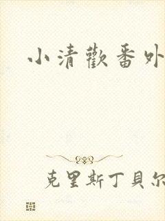 小清欢番外封面