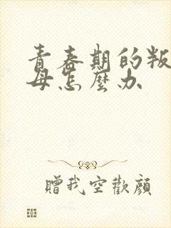 青春期的叛逆父母怎么办封面