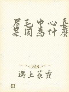 眉毛中心长痘痘是因为什么原因引起的