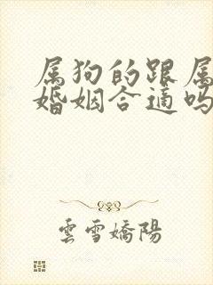 属狗的跟属牛的婚姻合适吗