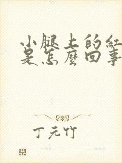 小腿上的红点点是怎么回事