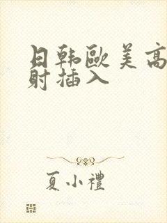 日韩欧美高潮内射插入
