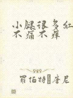 小腿很多红点点不痛不痒