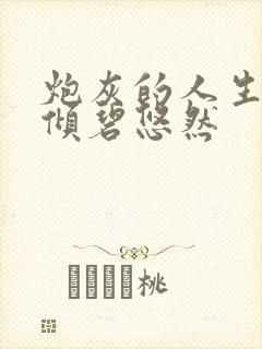 炮灰的人生2 倾碧悠然封面