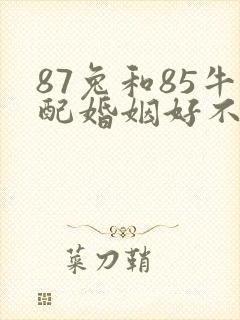87兔和85牛配婚姻好不好