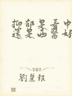 抑郁是看中医好还是西医好封面