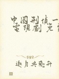 中国刑侦一号案 电视剧 免费观看