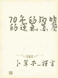 70年的狗明年的运气怎么样封面