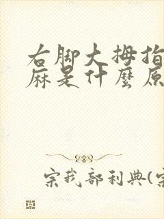 右脚大拇指一直麻是什么原因封面