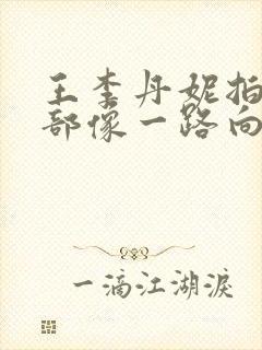 王李丹妮拍过几部像一路向西的电影