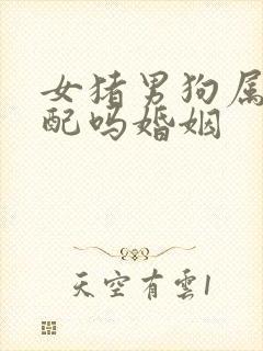 女猪男狗属相相配吗婚姻