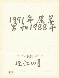 1991年属羊男和1988年属龙女相配吗