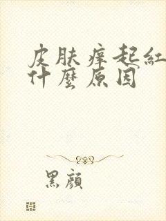 皮肤痒起红点是什么原因