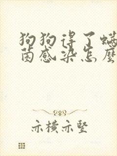 狗狗得了螨虫真菌感染怎么办
