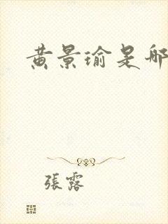 黄景瑜是哪人