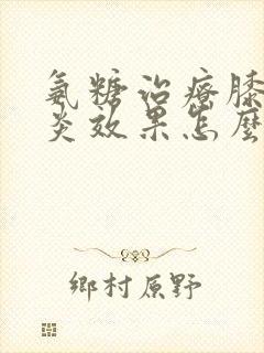 氨糖治疗膝关节炎效果怎么样封面
