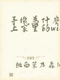 手机为什么连不上家里的wifi