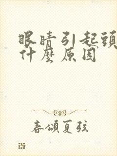 眼睛引起头晕是什么原因封面