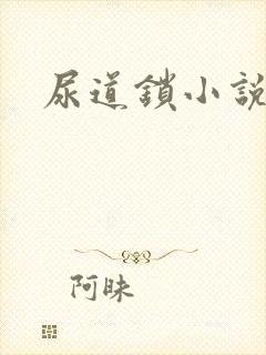 尿道锁小说封面