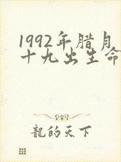 1992年腊月十九出生命运