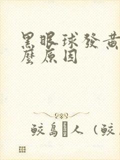 黑眼球发黄是什么原因封面