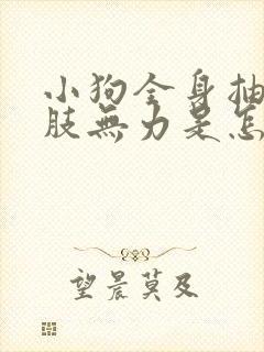 小狗全身抽搐四肢无力是怎么回事