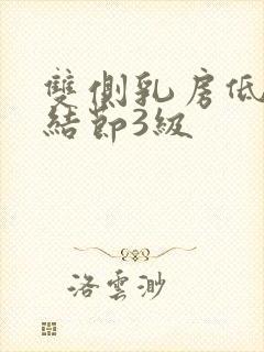 双侧乳房低回声结节3级封面