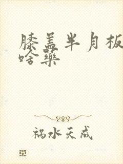 膝盖半月板疼用啥药封面