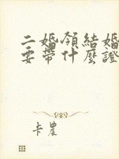 二婚领结婚证需要带什么证件