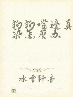 狗狗嘴边真菌感染怎么办封面